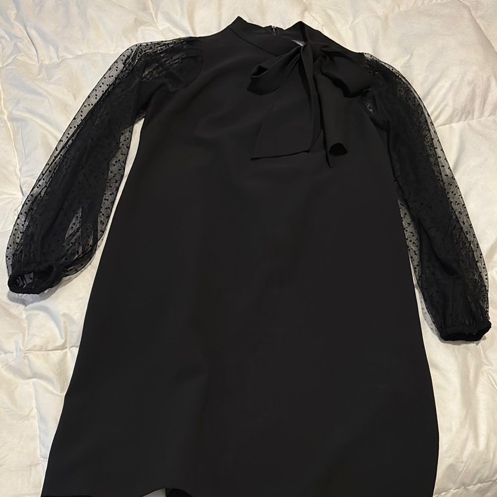 Elegant Black Dress with Sheer Sleeves